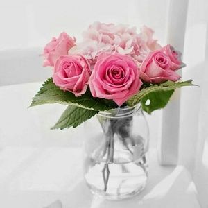 Meet your Posher, Desiree