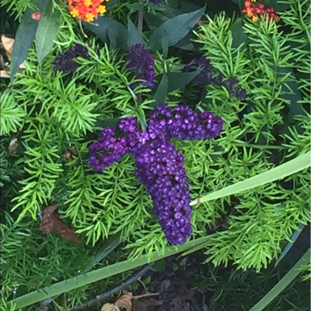 Meet your Posher, Cristina