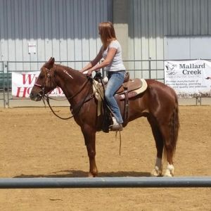 Meet your Posher, Natalie