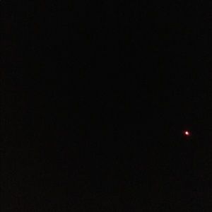 Meet your Posher, Angelica