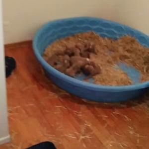 Meet your Posher, Keith