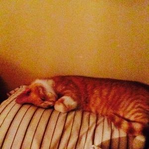 Meet your Posher, Debra