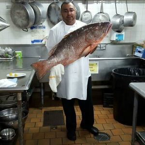 Meet your Posher, Luis