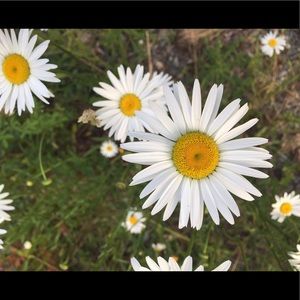 Meet your Posher, Karyss