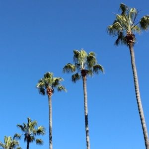 Meet your Posher, Tyler