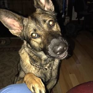 Meet your Posher, Stefani