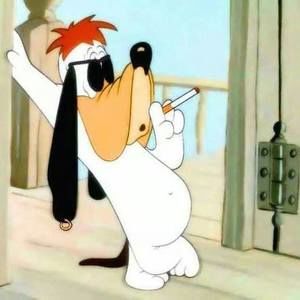 Meet your Posher, Ray