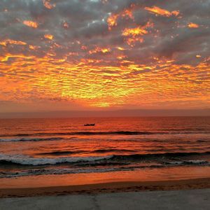 Meet your Posher, Danna