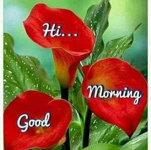 Meet your Posher, Elaine