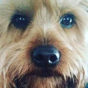 Meet your Posher, Matthew