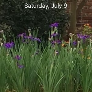 Meet your Posher, Kathy