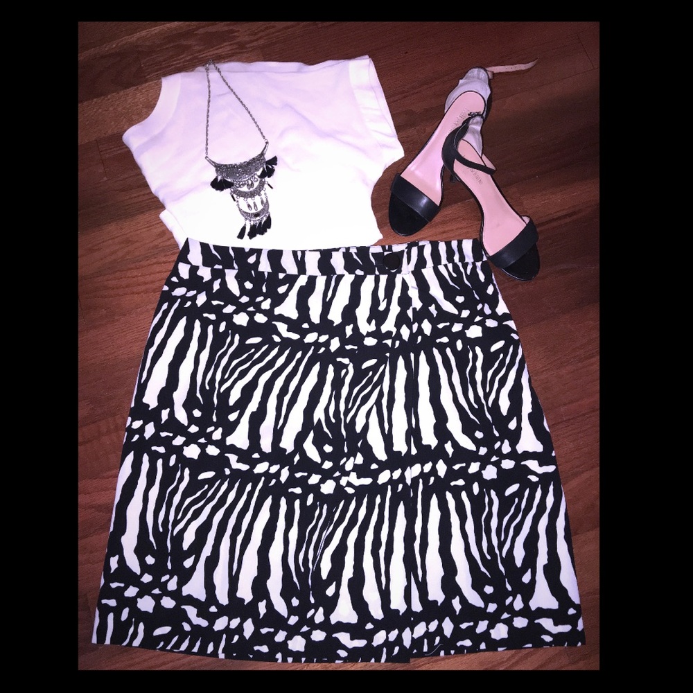 Ann Taylor Loft Skirt