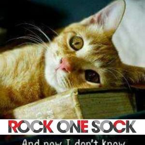 Meet your Posher, Rhonda