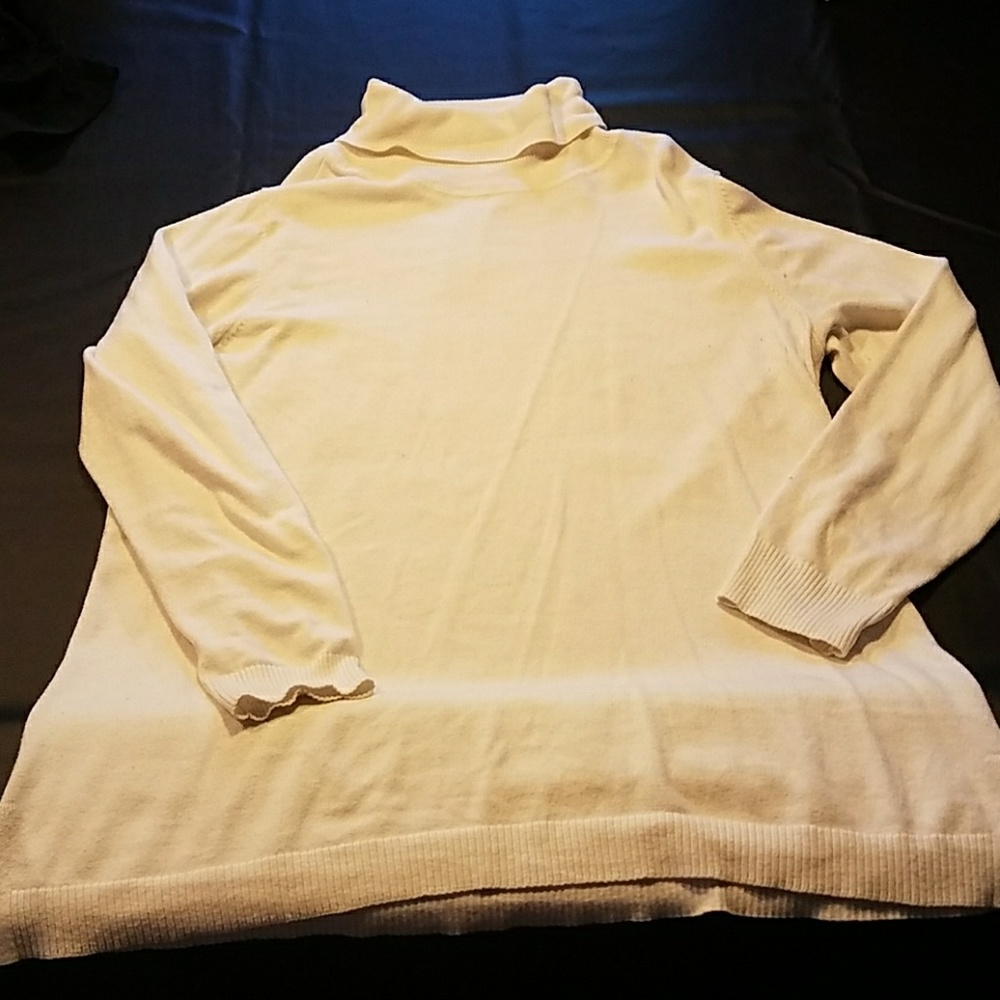 Turtle neck sweater