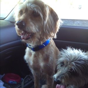 Meet your Posher, Becky