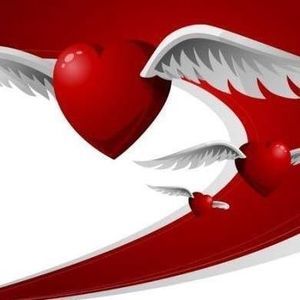 Meet your Posher, Elisa