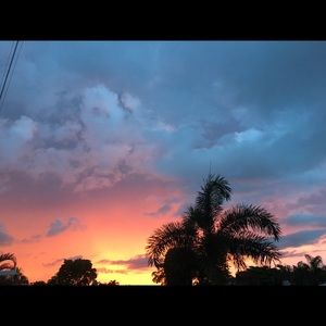 Meet your Posher, Pablo