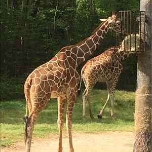 Meet your Posher, Debra