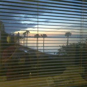 Meet your Posher, Dominique