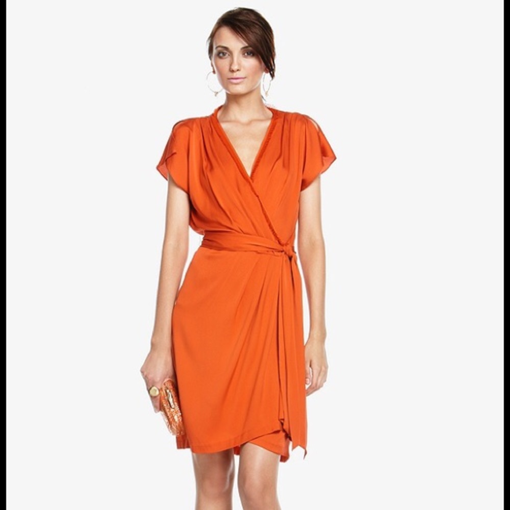 DVF Silk Wrap Dress with Sash