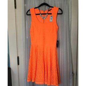 NWT Express Dress