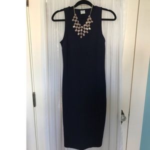Fitted, Navy, Cotton Dress
