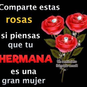 Meet your Posher, Bella