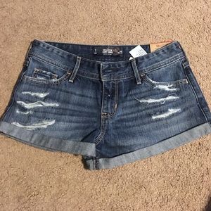 low rise Hollister shorts BNWT