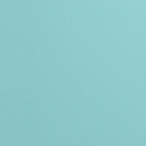 Meet your Posher, Jenevieve