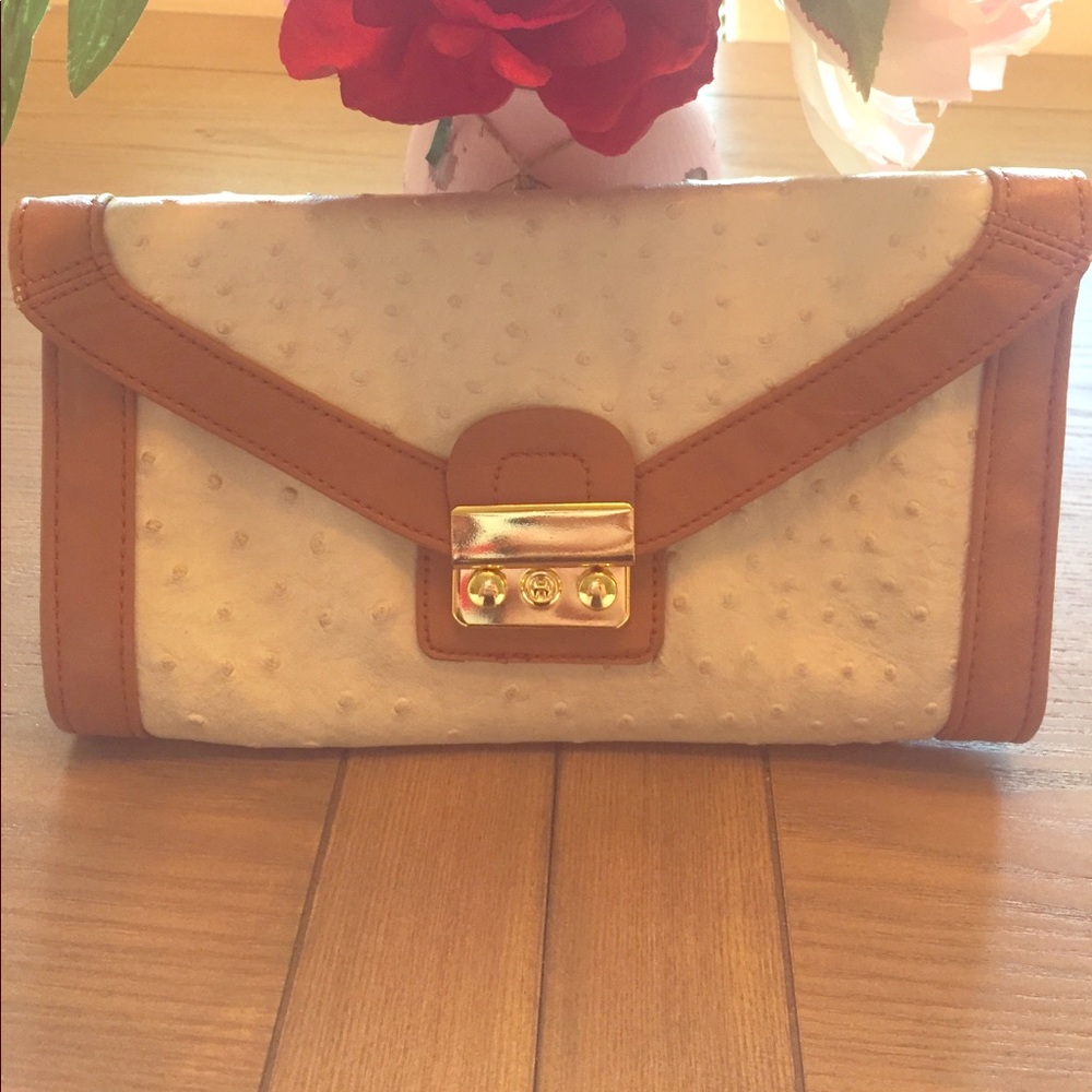 Beige Aldo Clutch