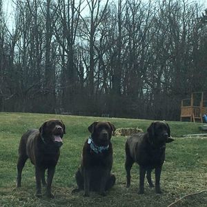 Meet your Posher, Tracy