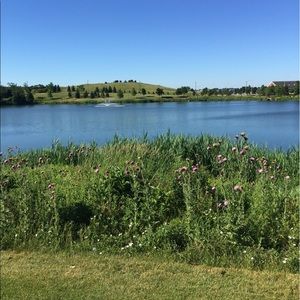 Meet your Posher, Lillian