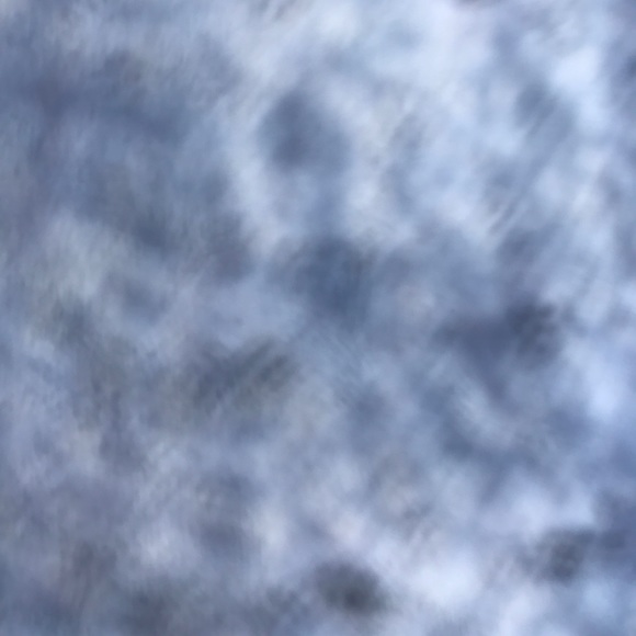 Meet your Posher, Spike - Picture 1 of 1