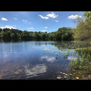 Meet your Posher, Bonnie