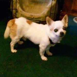 Meet your Posher, Lynne