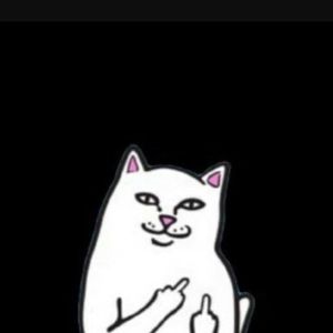 Meet your Posher, Erick