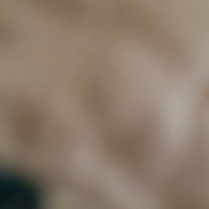 Meet your Posher, Timothy