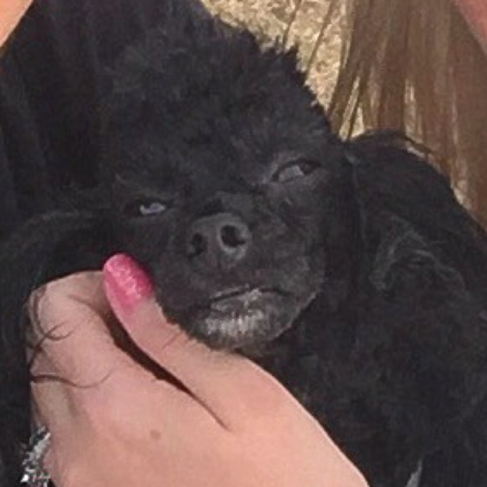 Meet your Posher, Haley