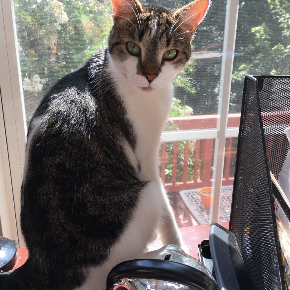 Meet your Posher, Faith