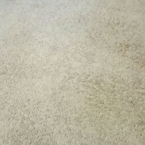 Meet your Posher, Frank