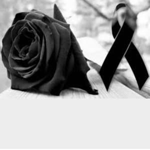 Meet your Posher, Ana