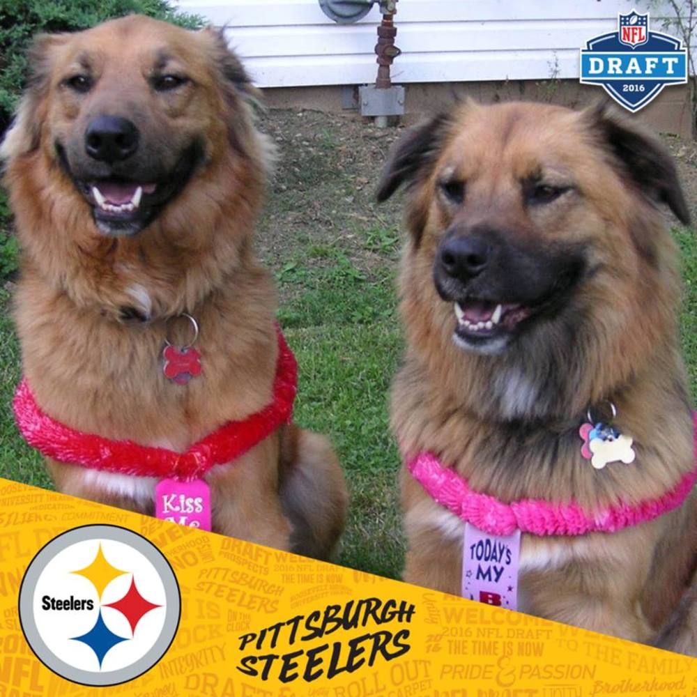 Meet your Posher, Mandy