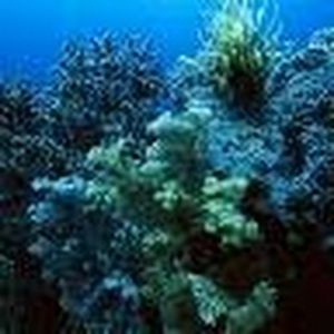 Meet your Posher, Frederick