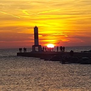 Meet your Posher, Molly