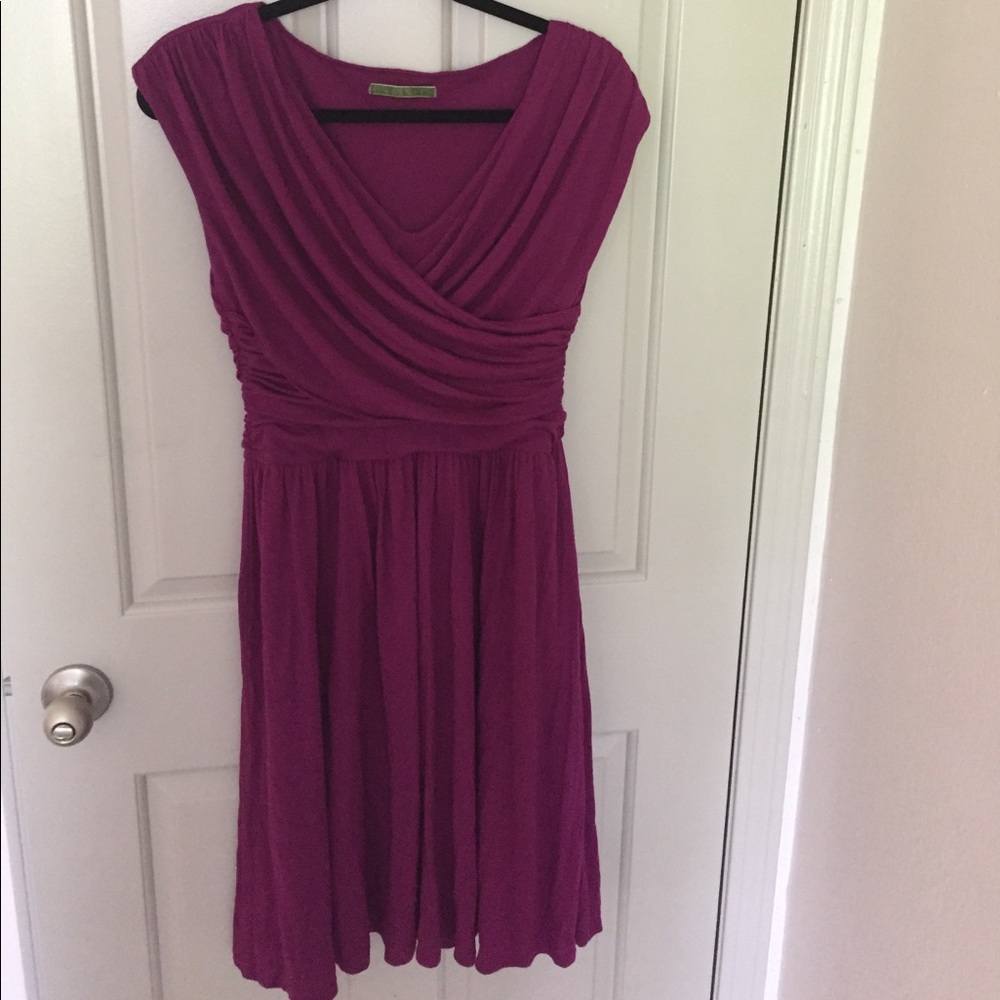 Velvet Dress