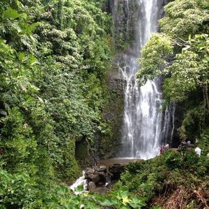 Meet your Posher, Lydia