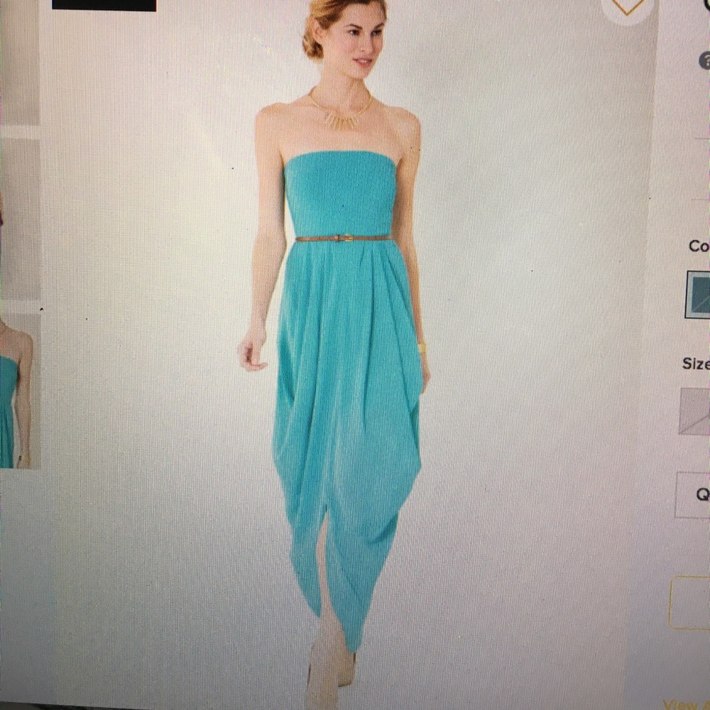 Twelfth Street by Cynthia Vincent Maxi Dress