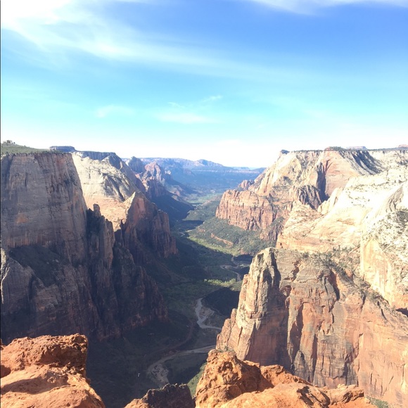 Meet your Posher, Tama - Picture 1 of 1