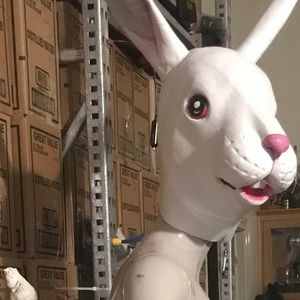 Meet your Posher, Caroline