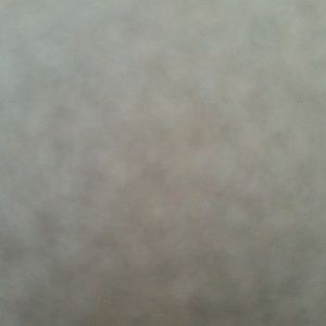 Meet your Posher, Cole